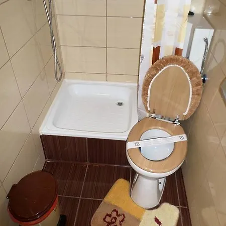 Casa Montana 3* Buşteni