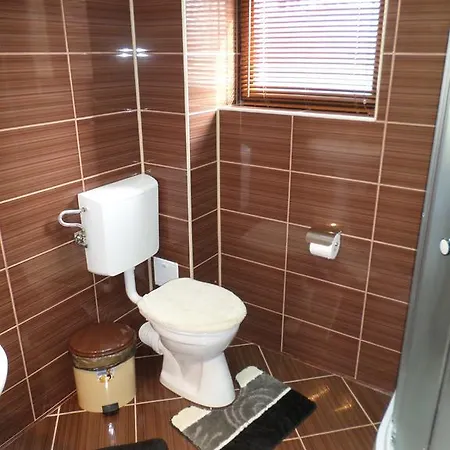 Pensionat Casa Montana Buşteni