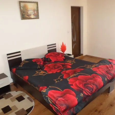 Casa Montana Pensionat Buşteni
